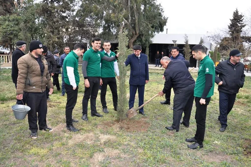 Saatlıda Heydər Əliyevin yubileyi ilə əlaqədar ağacəkmə aksiyası keçirilib