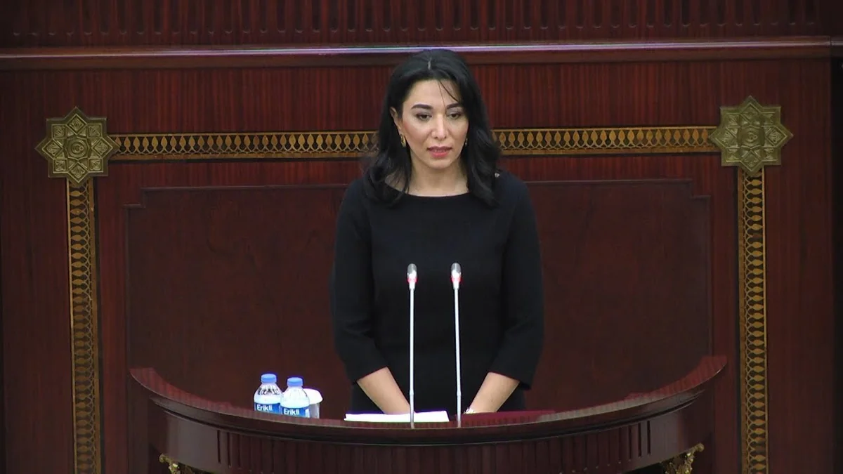 Ombudsman beynəlxalq təşkilatlara bəyanat ünvanladı