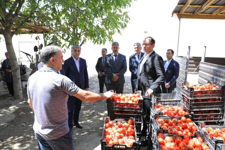 Məcnun Məmmədov Şərurda vətəndaşları qəbul edib, təsərrüfat və müəssisələrə baş çəkib