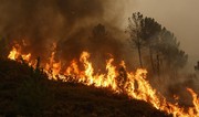 В Бурятии площадь лесных пожаров выросла более чем в два раза за сутки