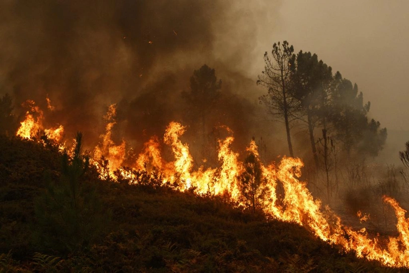 At least 46 reported dead in Chile as forest fires move into densely populated central areas