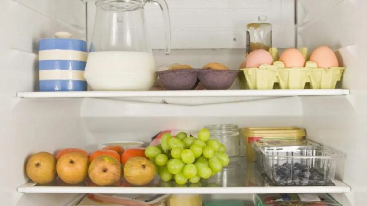 Ağıllı qablaşdırmalar qidalardakı zədələnmə əlamətlərini əvvəlcədən aşkar edə bilər - MƏQALƏ