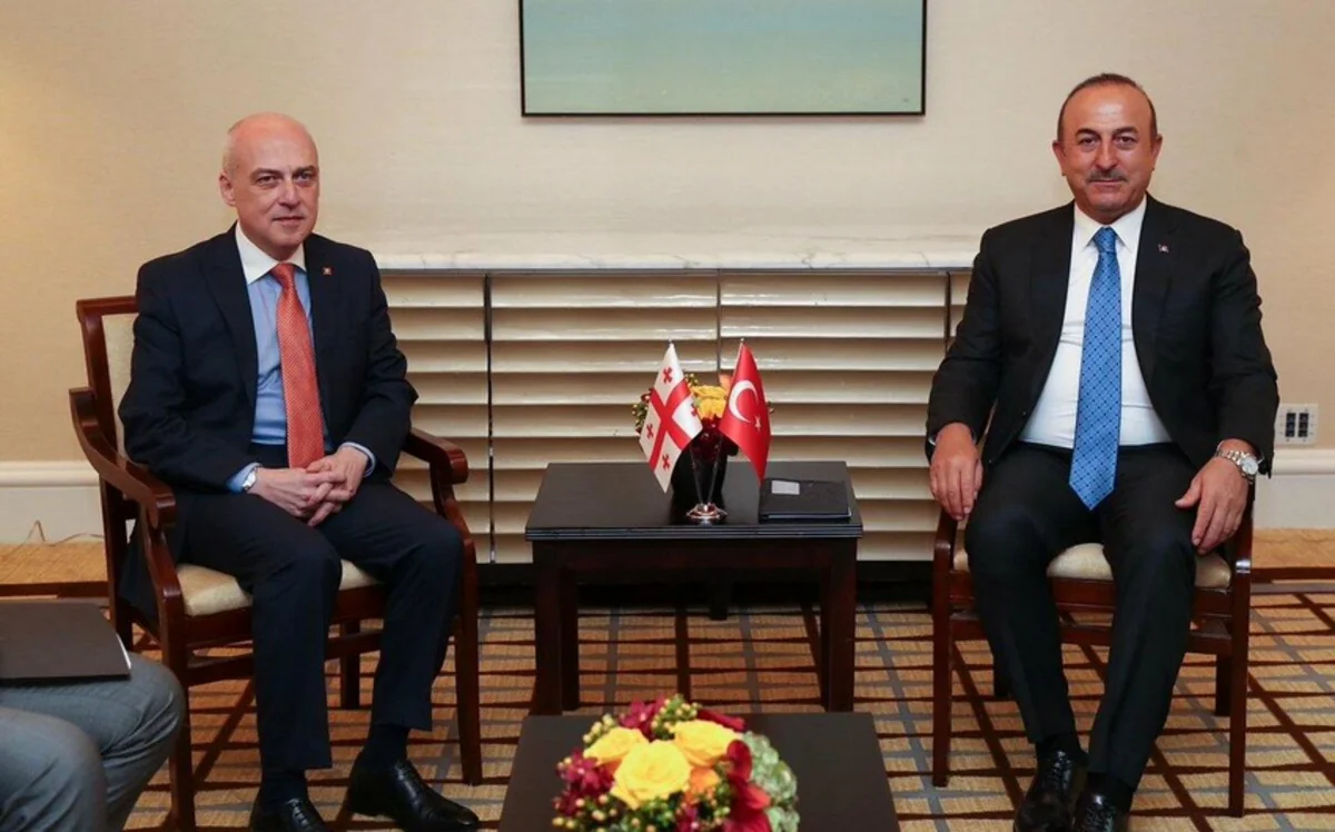 Gürcüstan Türkiyənin Ukrayna ilə bağlı vasitəçilik səylərini yüksək qiymətləndirib