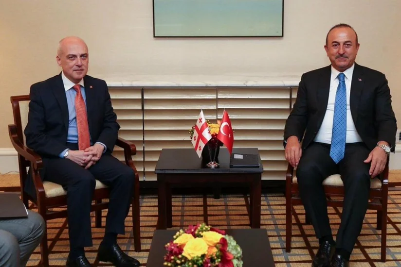 Gürcüstan Türkiyənin Ukrayna ilə bağlı vasitəçilik səylərini yüksək qiymətləndirib