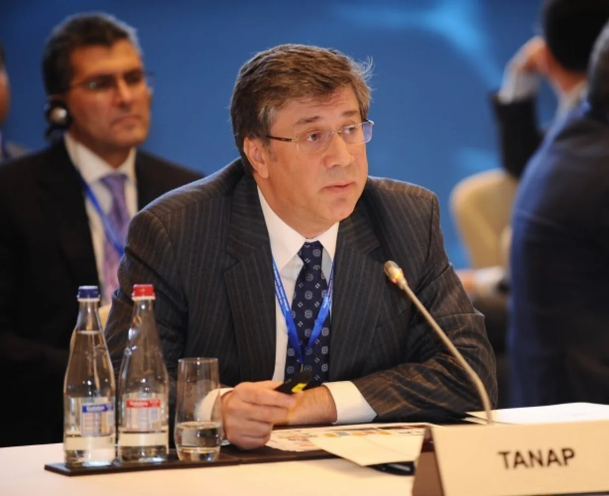 TANAP to bring $1.45B a year  - Director General