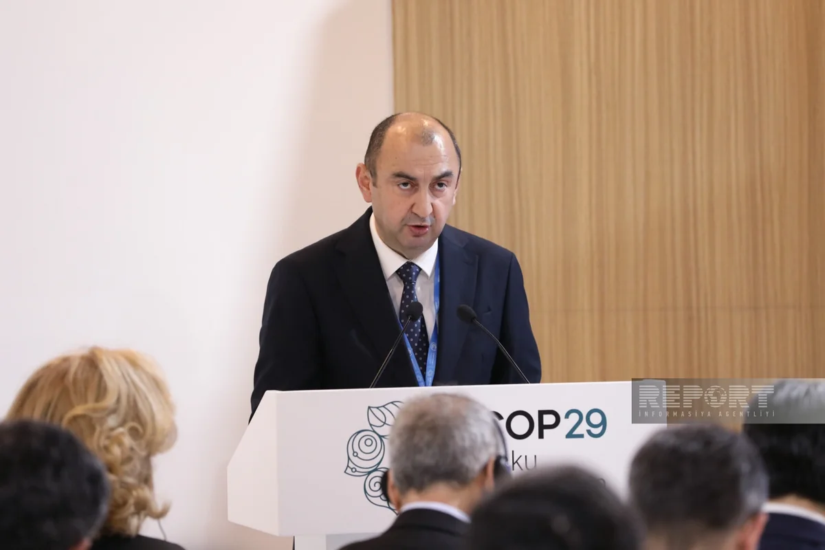 Deputy Minister: Azerbaijan takes practical steps towards solving global environmental issues