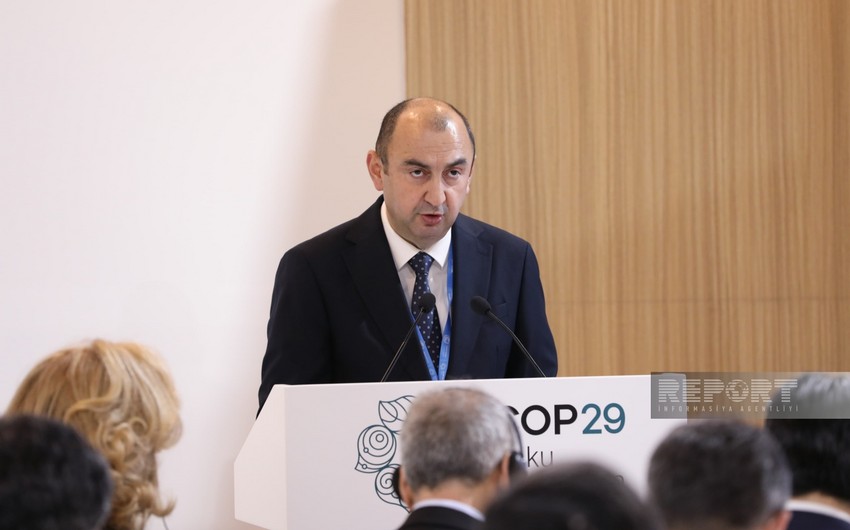 Nazir müavini: Azərbaycan ətraf mühitlə bağlı qlobal məsələlərin həlli istiqamətində əməli işlər görür