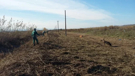 Cocuq Mərcanlıda 12 min kv.m ərazi tam təmizlənib, mina və PHS tapılmayıb