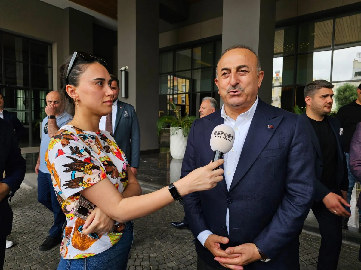 Turkish FM: Europe now needs Azerbaijani gas