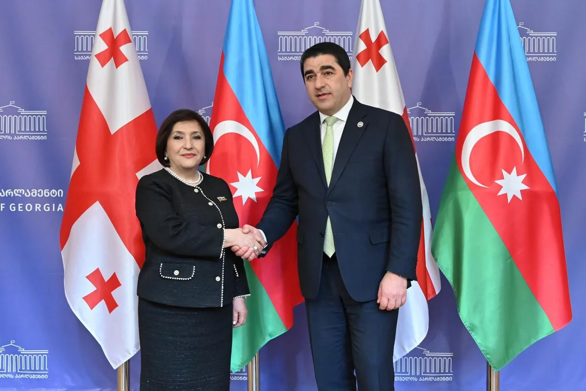 Speaker of Azerbaijani parliament meets with her Georgian counterpart