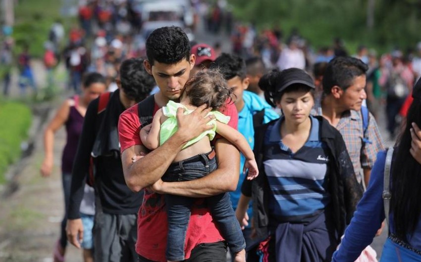 Son yeddi ayda 175 mindən çox insan Almaniyaya sığınacaq üçün müraciət edib