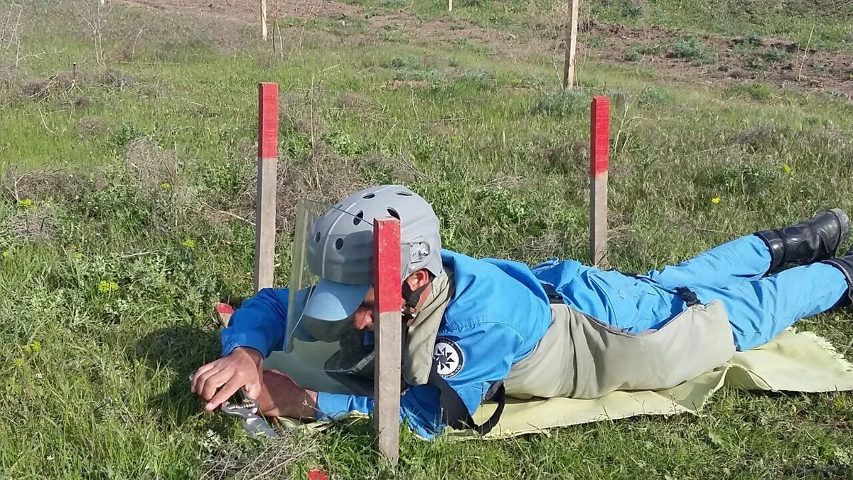 Cocuq Mərcanlıda gün ərzində 2793 ədəd qəlpə aşkar edilib