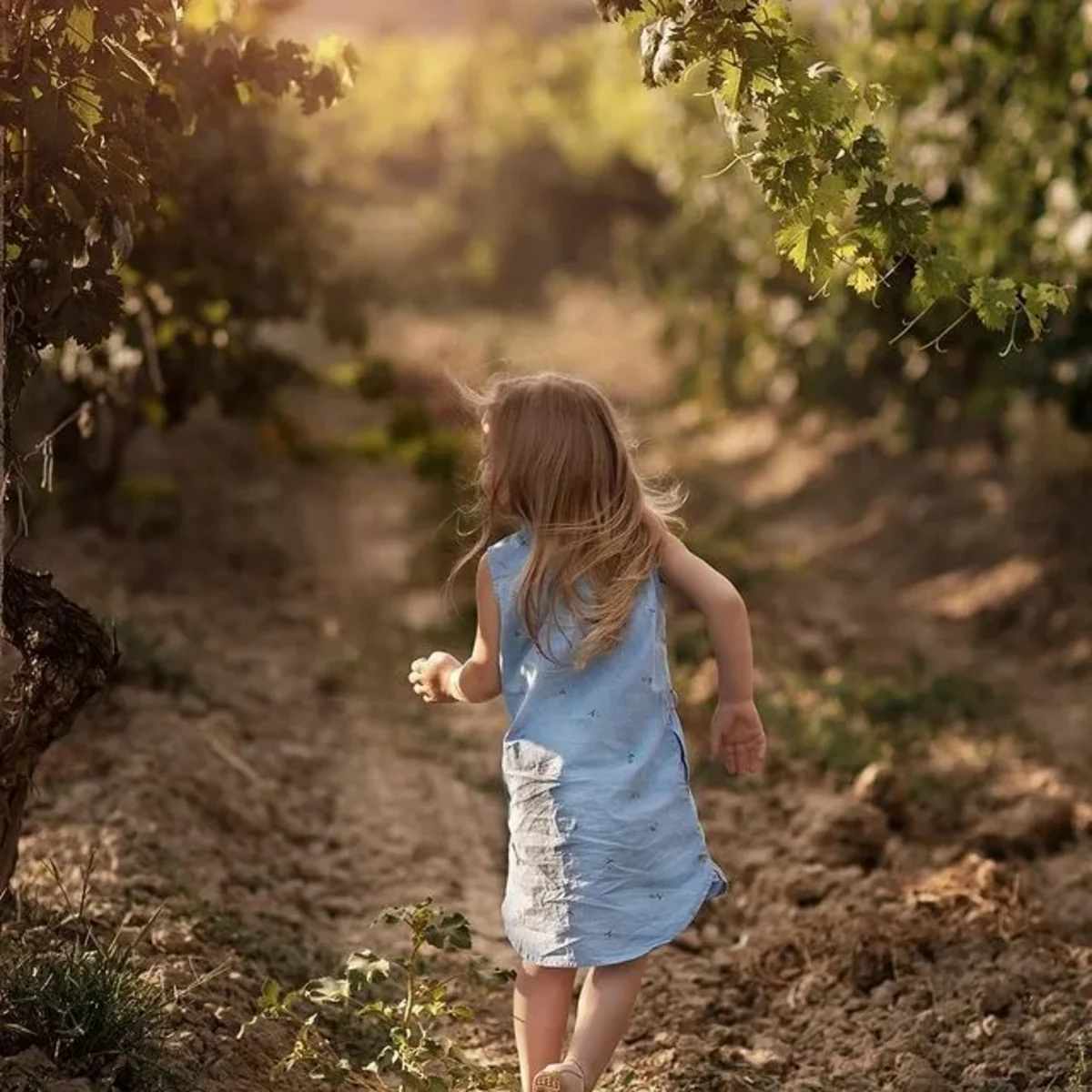 Cəlilabadda küçədə yaşayan dörd azyaşlı uşaq sığınacağına verilib