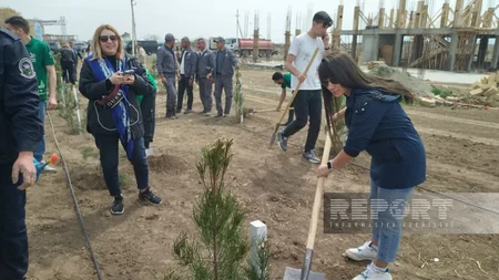 Heydər Əliyevin 100 illik yubileyi ilə əlaqədar Ağdamda ağacəkmə aksiyası keçirilib