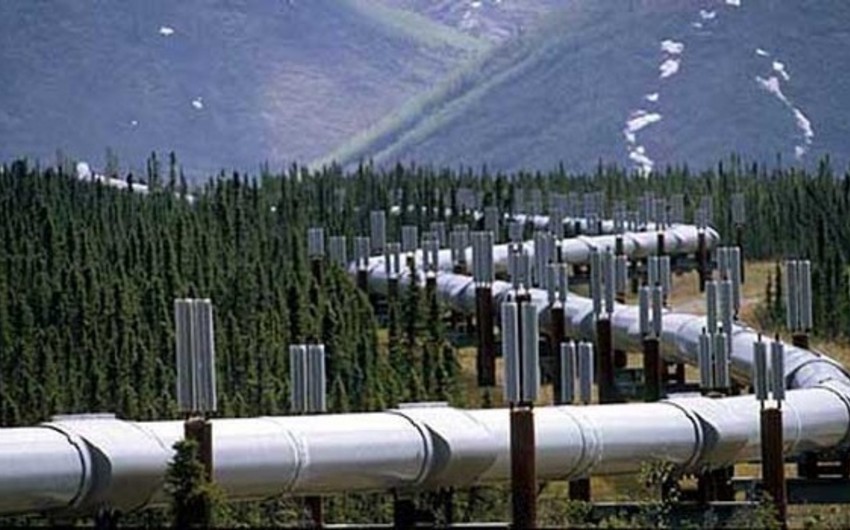 Türkiyə Energetika Nazirliyi: Ceyhan neft borusunda partlayıcı qurğu aşkar edilib