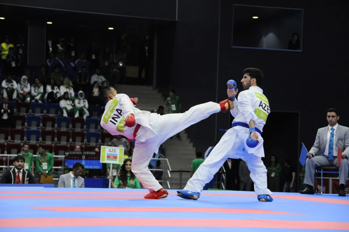 Karate yarışlarının keçirilməsinin mümkün variantları müzakirə olundu