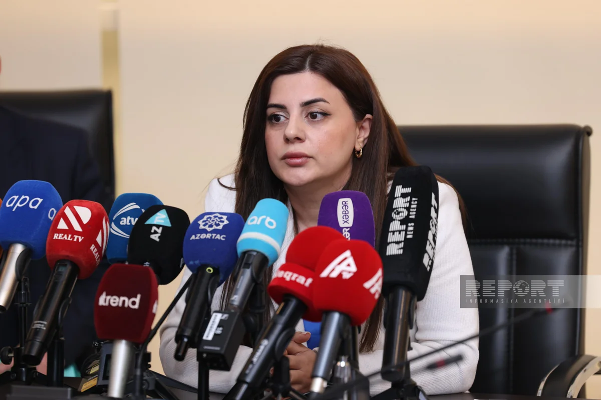 Azerbaijani MP: Concerns grow over Armenia's irresponsible ecological management