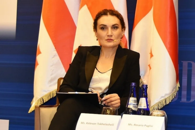 Госминистр: Между Грузией и Азербайджаном нет нерешаемых вопросов