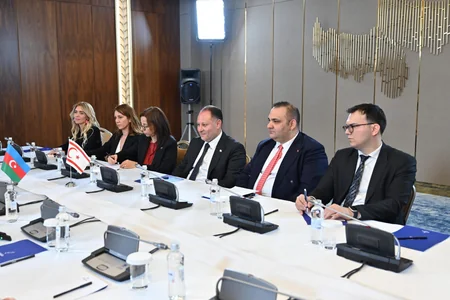 Sahibə Qafarova Astanada Şimali Kipr Türk Cümhuriyyəti Məclisinin sədri ilə görüşüb