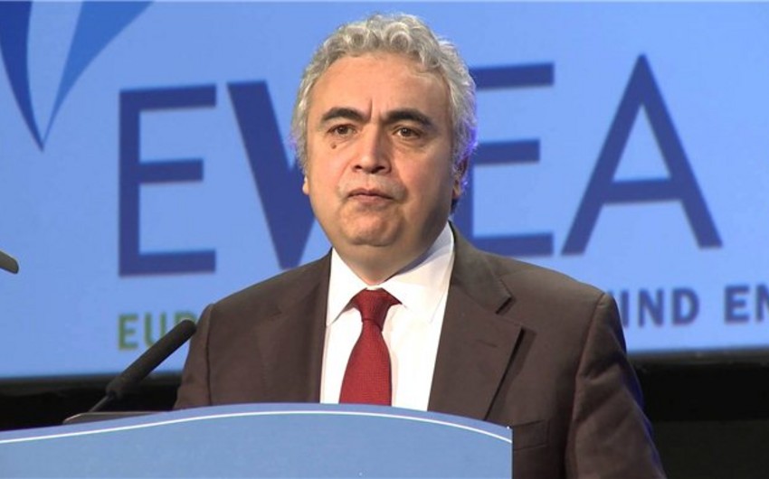 Neft sektoruna qoyulan investisiyalar 2017-ci ildə də azalacaq