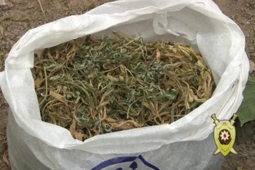 Polis Bakıda 35 kiloqram narkotik vasitəni qanunsuz dövriyyədən çıxarıb