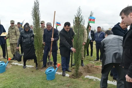 Cocuq Mərcanlıda Aprel şəhidlərinin xatirəsinə ağacəkmə aksiyası keçirilib