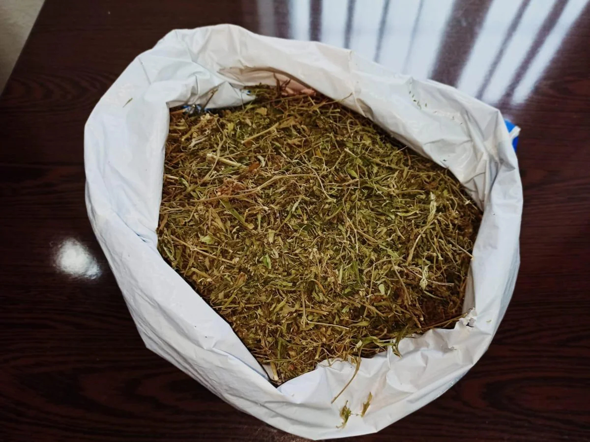 Qazax sakinindən narkotik və silah götürüldü