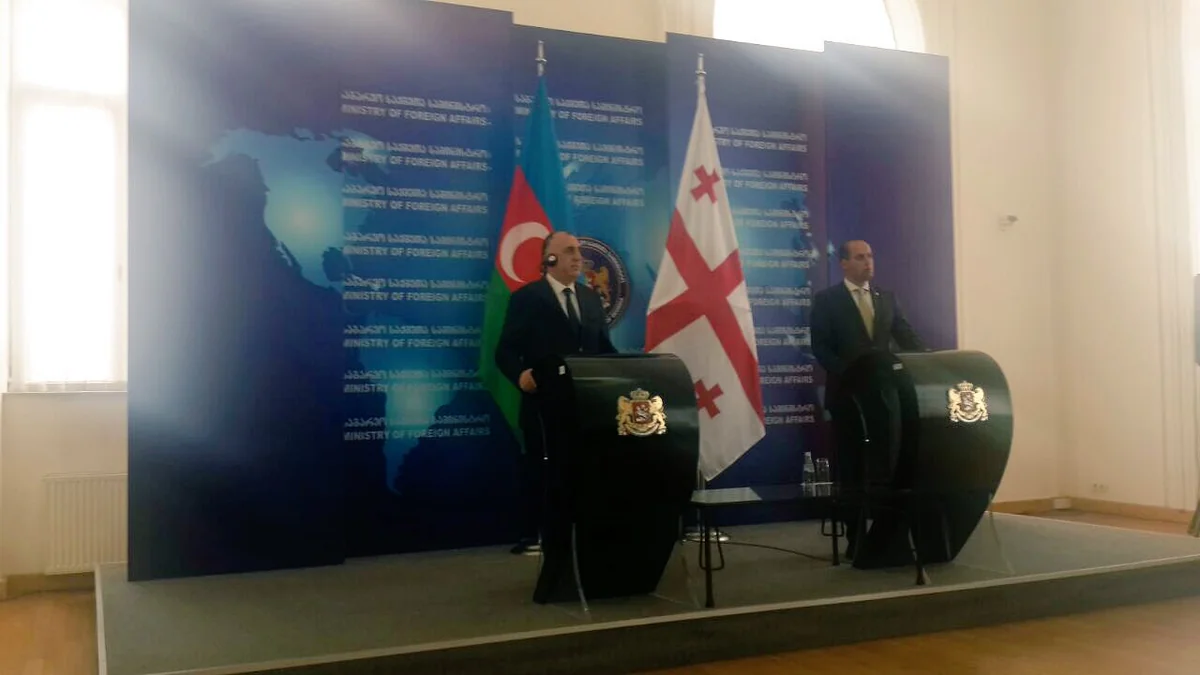 FM: Azerbaijan and Georgia are standing on same position on issues of international agenda