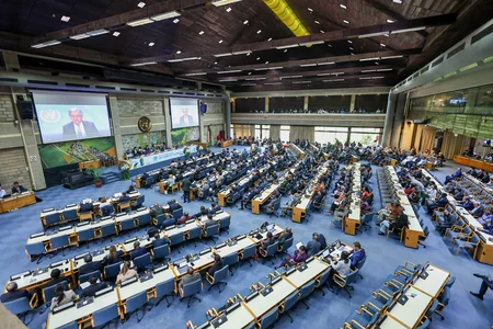 “UN-Habitat”ın 2026-2029-cu illər üzrə Strateji Planı qəbul ediləcək