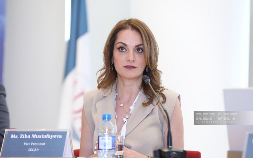 Ziba Mustafayeva: Azerbaijan becoming exporter of not only energy resources, but also knowledge