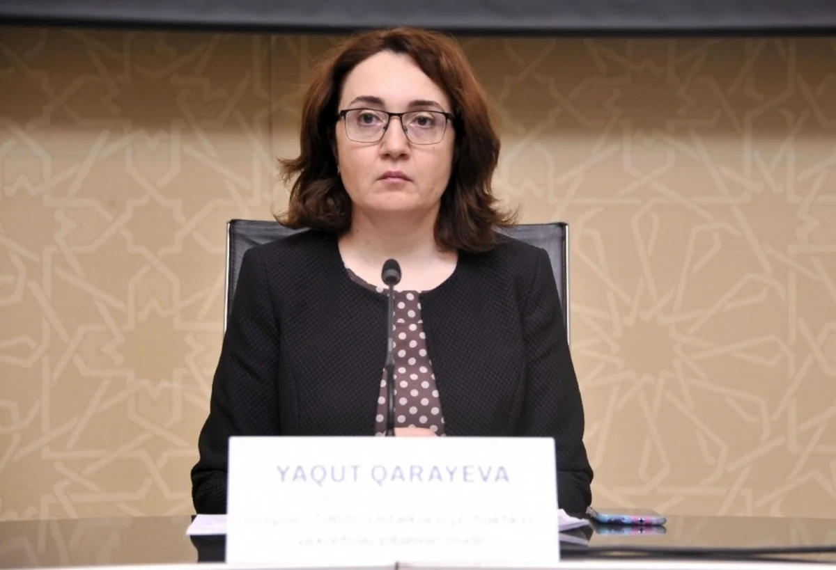 TƏBİB: Bugünkü qərarlar ona görədir ki, rəqəmlər pik həddə çatmasın - VİDEO