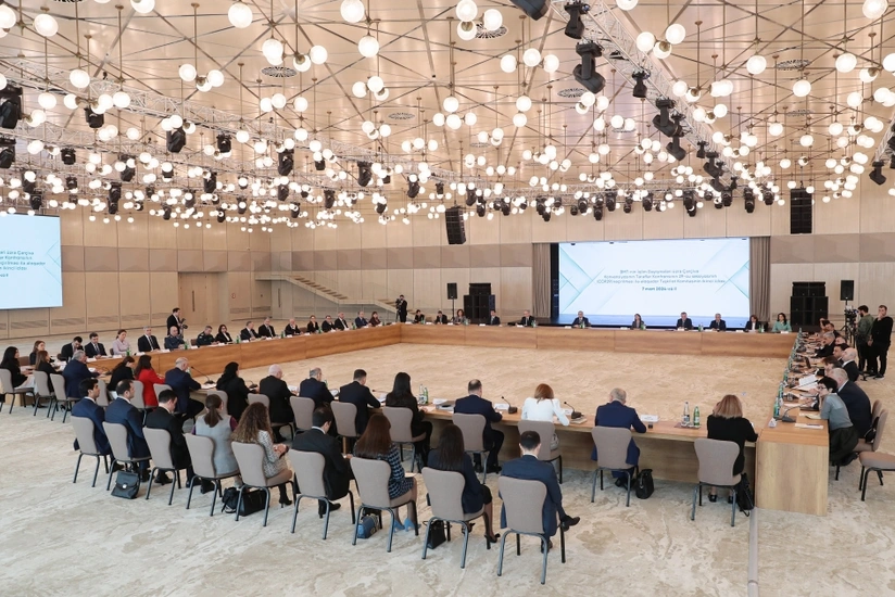 Состоялось второе заседание Организационного комитета по СОР29