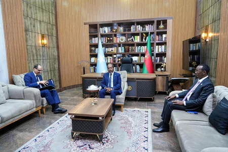 MİT-in rəisi Somali Prezidenti ilə terrorçuluqla mübarizəni müzakirə edib
