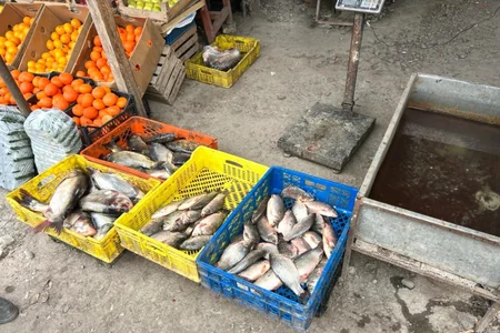 AQTA Tovuzda bazarda nöqsanlar aşkarlayıb