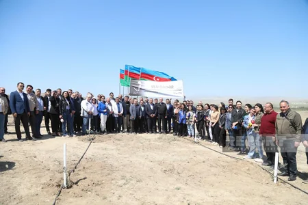 Представители СМИ приняли участие в акции по посадке деревьев, приуроченной к 100-летию Гейдара Алиева