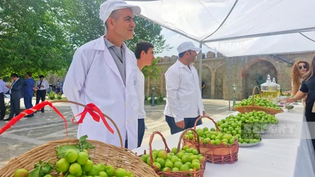 В Нахчыване начался фестиваль Гёйча