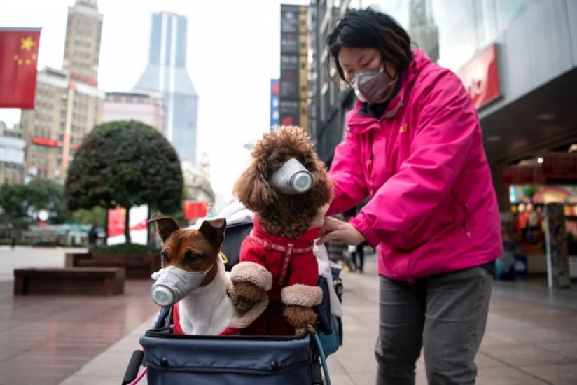 В Гонконге повысят штрафы за нарушение ограничительных мер до $645