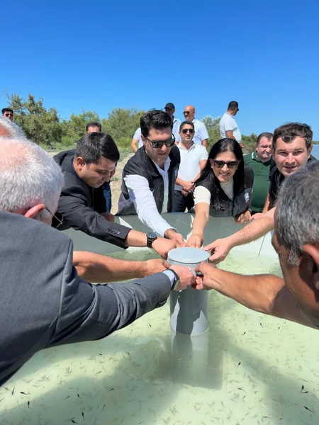 В Куру выпущены мальки рыб