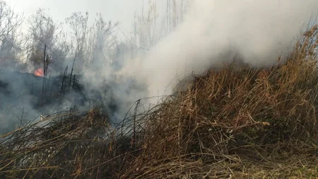 İsmayıllıda həyətyanı sahədə yanğının qəsdən törədildiyi məlum olub