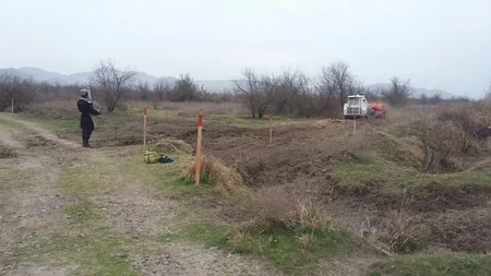 Cocuq Mərcanlıda 1 402 ədəd qəlpə aşkarlanıb