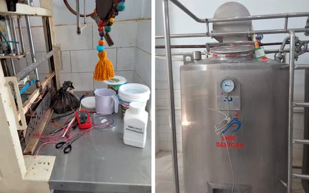 Naxçıvanda süd emalı sexinin fəaliyyəti məhdudlaşdırılıb