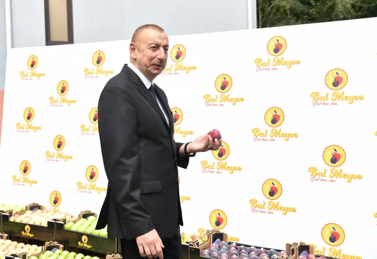 Dövlət başçısı Balakəndə “Bal meyvə” bağçılıq təsərrüfatı ilə tanış olub