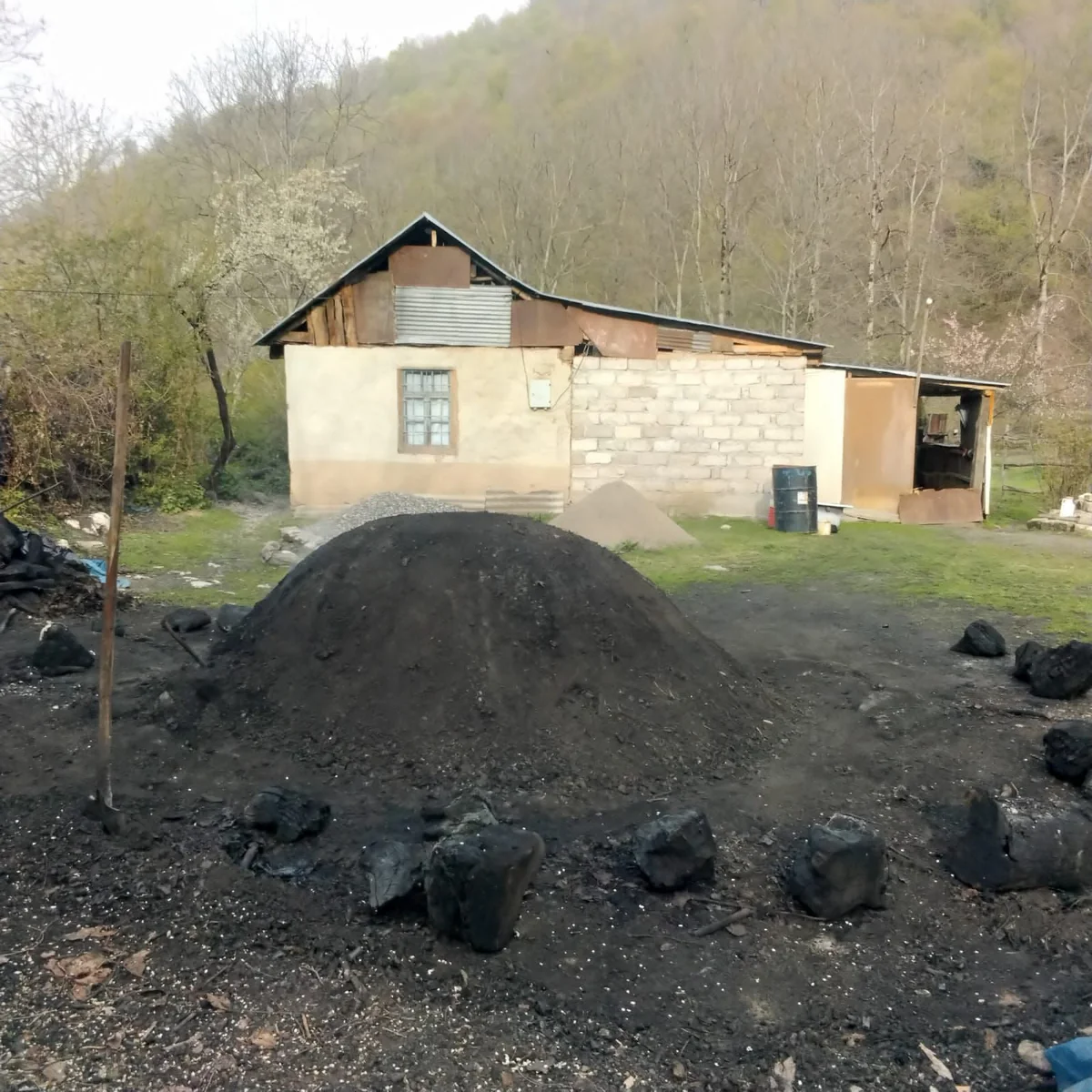 Göygöl və Qubada qanunsuz kömür quyuları aşkarlanıb