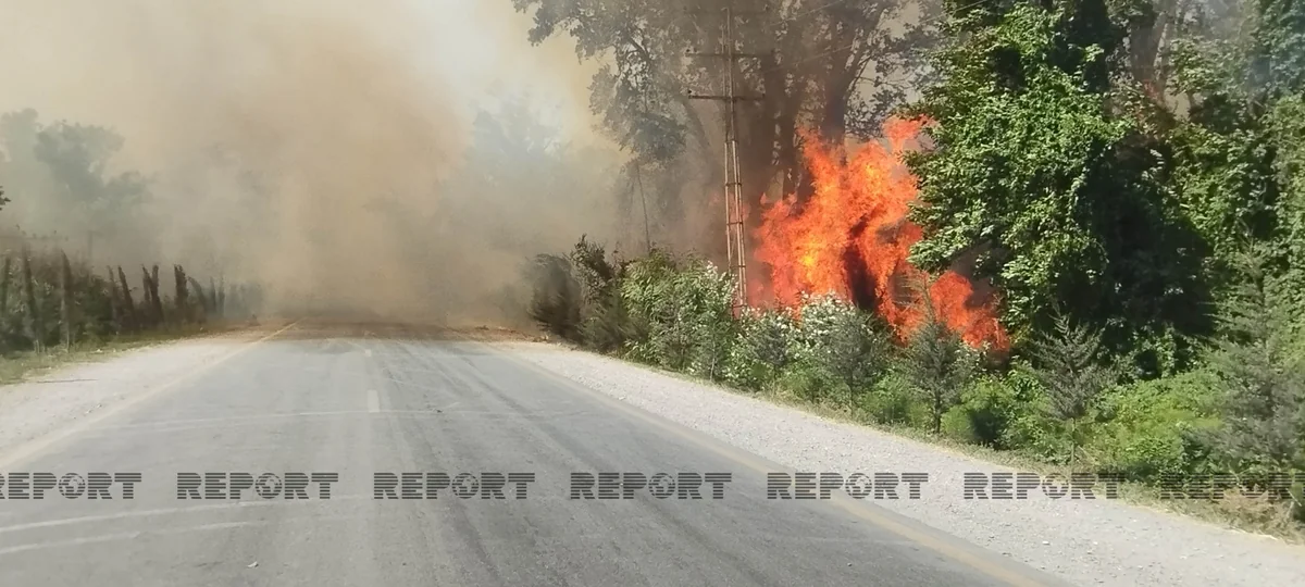 Wildfire causes power outage in Azerbaijan's Khachmaz
