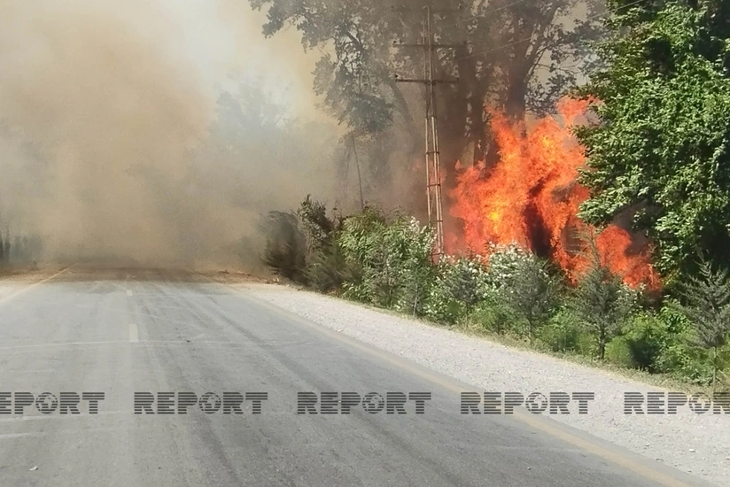 FHN: Xaçmazdakı yanğın nəzarətə götürülüb