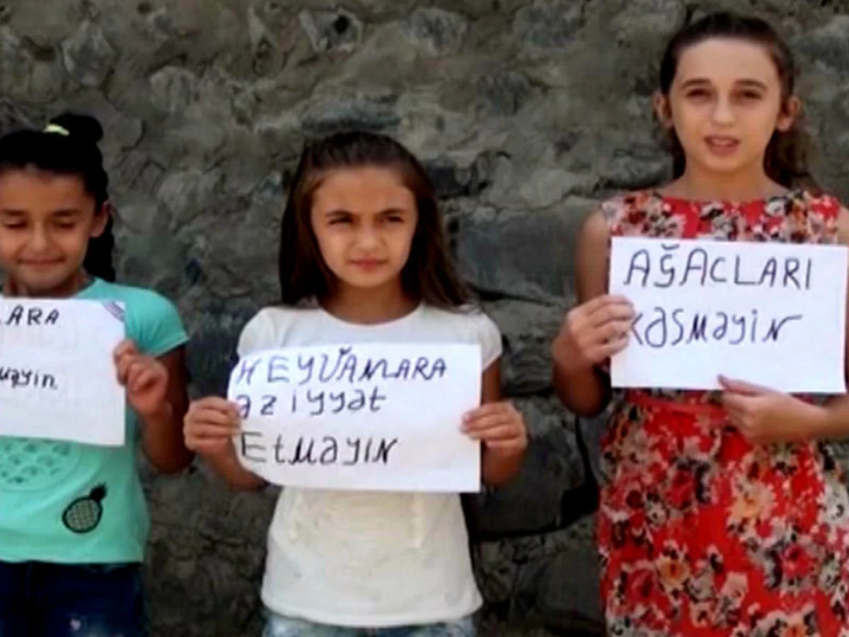 ETSN təbiətin qorunmasına yönələn vətəndaş təşəbbüslərini təqdir edir