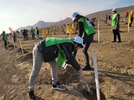 Xocasəndə 2000-dən çox müxtəlif cinsli ağac əkilib