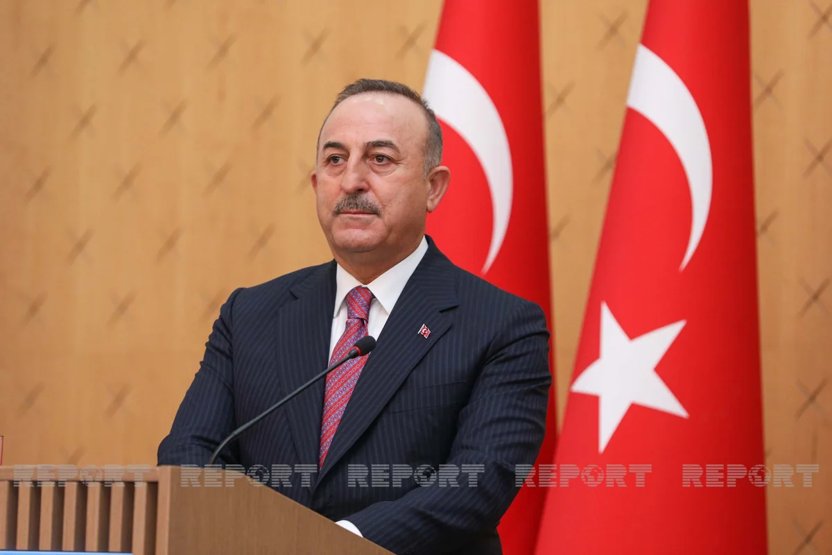 Turkish FM: Global polarization may deepen next year