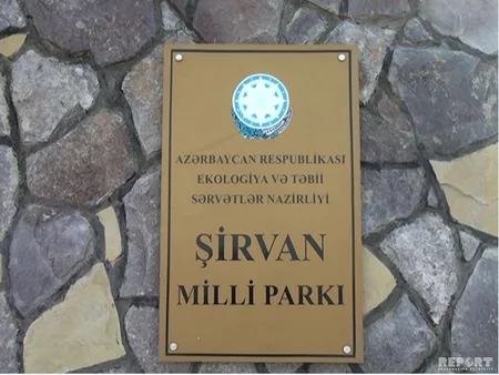 Şirvan Milli Parkındakı silahlı insidentin təfərrüatı məlum olub