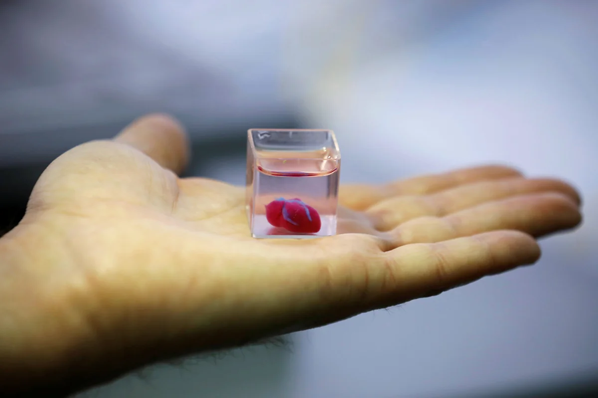Scientists grow first functioning mini human heart